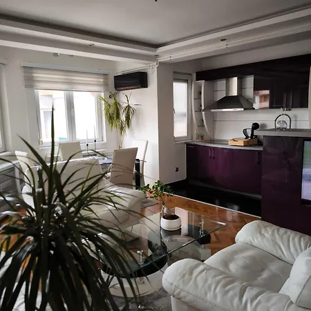 Stan U Centar- Free Garage Pirot