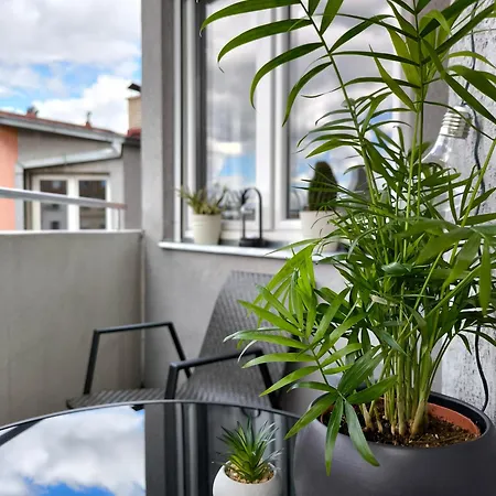 Stan U Centar- Free Garage *