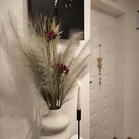 Stan U Centar- Free Garage