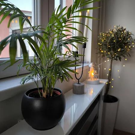 Stan U Centar- Free Garage Apartment